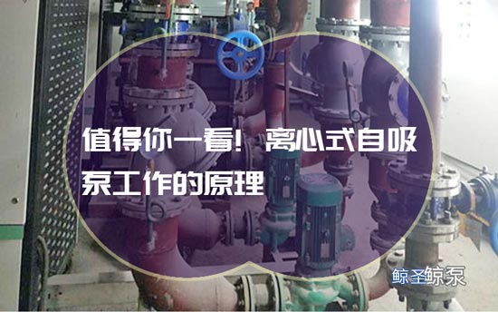 值得你一看!离心式自吸泵工作的原理