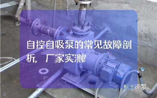 自控自吸泵的常见故障剖析,厂家实测!