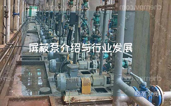 屏蔽泵介绍与行业发展