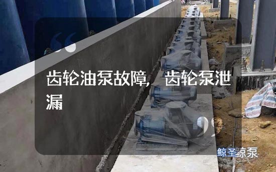 匿名:齿轮油泵停止运行了应该咋办?
