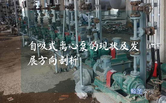 自吸式离心泵的现状及发展方向剖析