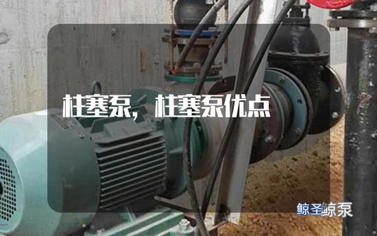 请问大佬!柱塞泵优点有哪些?