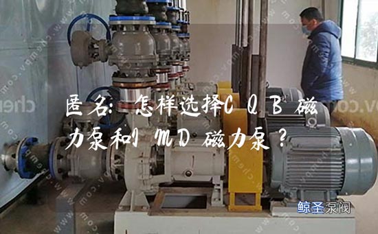 匿名:怎样选择CQB磁力泵和IMD磁力泵?