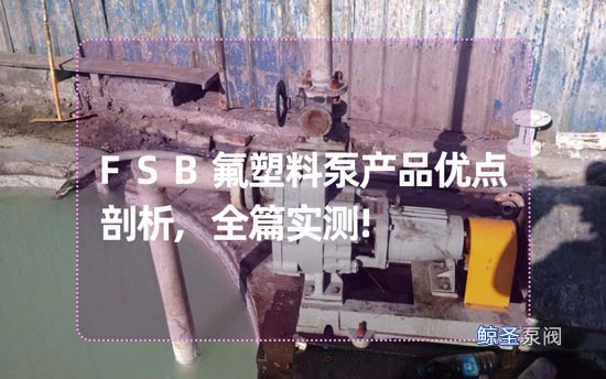 FSB氟塑料泵产品优点剖析,全篇实测!