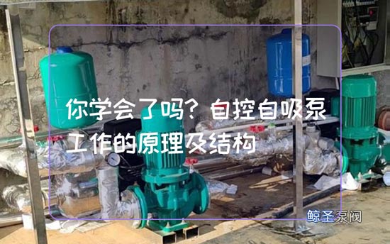 你学会了吗?自控自吸泵工作的原理及结构