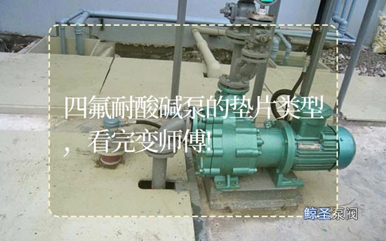 四氟耐酸碱泵的垫片类型,看完变师傅!