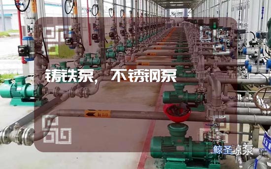 小白:铸铁泵和不锈钢泵的不同点在哪?