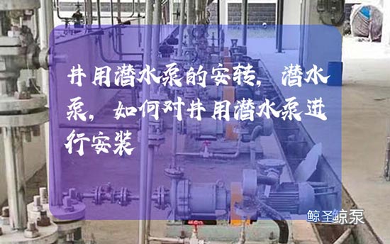 想问:怎样对井用潜水泵进行安装?