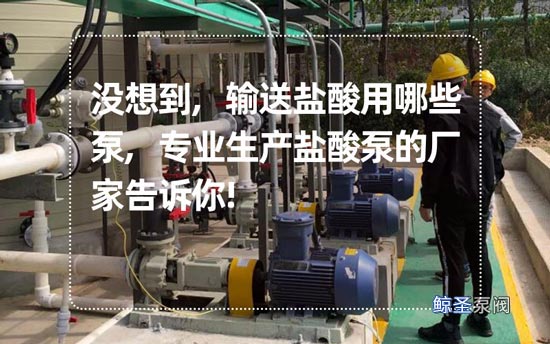 没想到,输送盐酸用哪些泵,专业生产盐酸泵的厂家告诉你!
