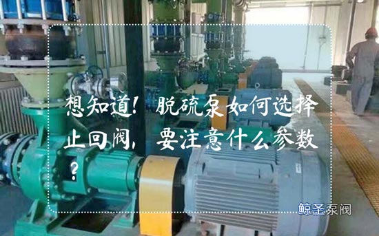 想知道!脱硫泵如何选择止回阀,要注意什么参数?