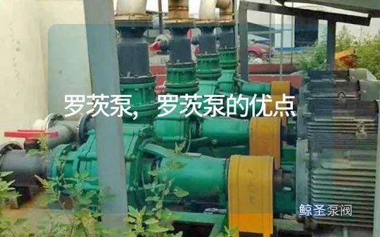问:为什么要选择罗茨泵?
