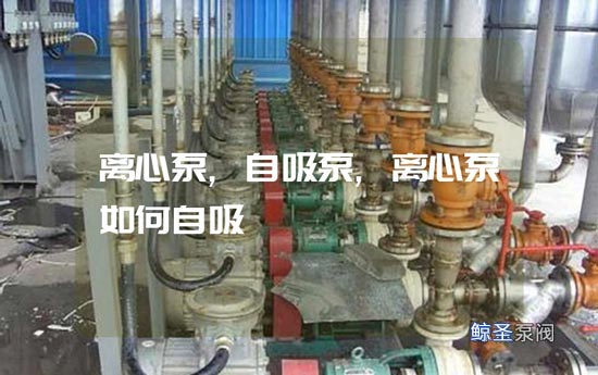 疑难:离心泵怎样改自吸泵?