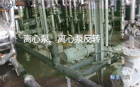 急!离心泵反转咋办?
