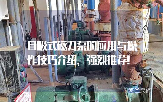 自吸式磁力泵的应用与操作技巧介绍,强烈推荐!