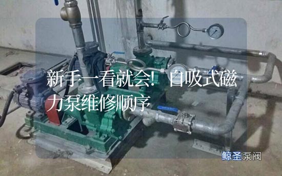 新手一看就会!自吸式磁力泵维修顺序