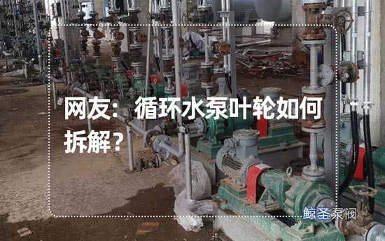 网友:循环水泵叶轮如何拆解?