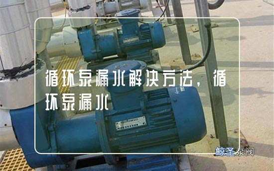 同志们:循环水泵漏水怎样解决?