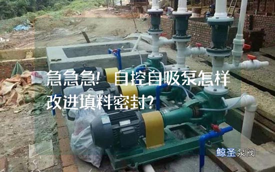 急急急!自控自吸泵怎样改进填料密封?
