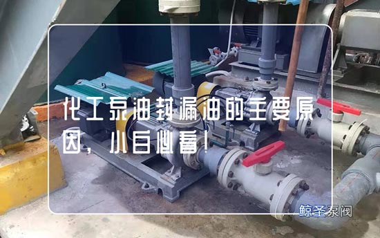 化工泵油封漏油的主要原因,小白必看!