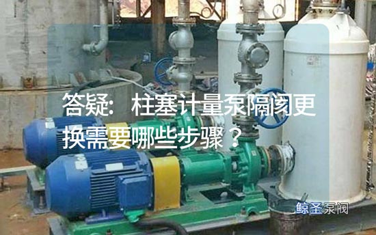 答疑:柱塞计量泵隔阂更换需要哪些步骤?