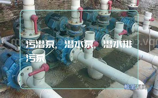 匿名:污泥潜水泵流量很小哪些原因?