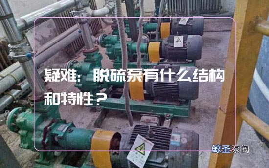 疑难:脱硫泵有什么结构和特性?