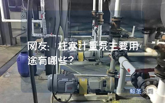 网友:柱塞计量泵主要用途有哪些?