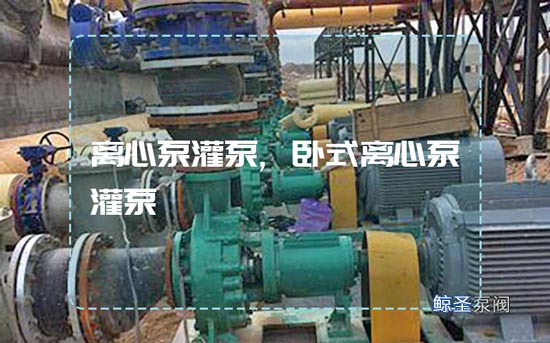 问答:卧式离心泵怎样灌泵?