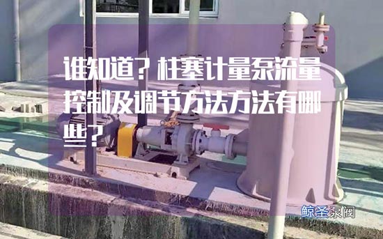 谁知道?柱塞计量泵流量控制及调节方法方法有哪些?