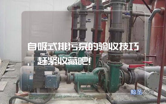 自吸式排污泵的验收技巧,赶紧收藏吧!