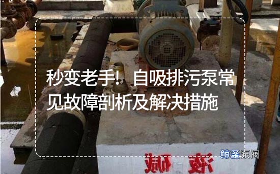 秒变老手!自吸排污泵常见故障剖析及解决措施