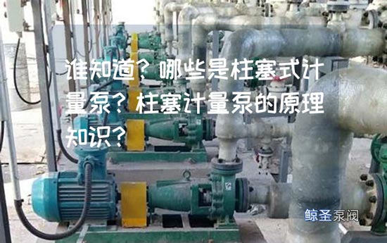 谁知道?哪些是柱塞式计量泵?柱塞计量泵的原理知识?