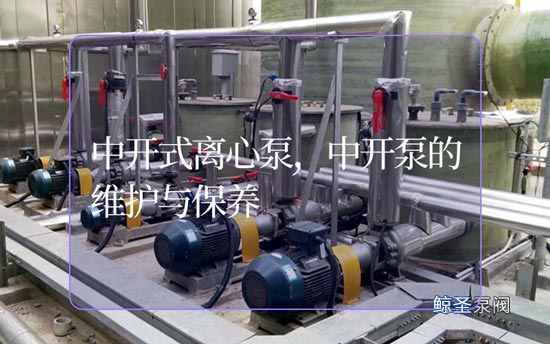 谁懂!中开式离心泵怎样做好日常维护?