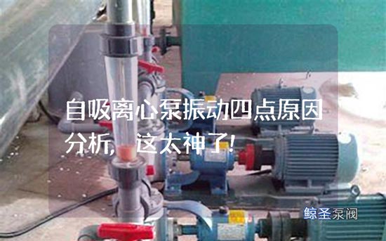 自吸离心泵振动四点原因分析,这太神了!
