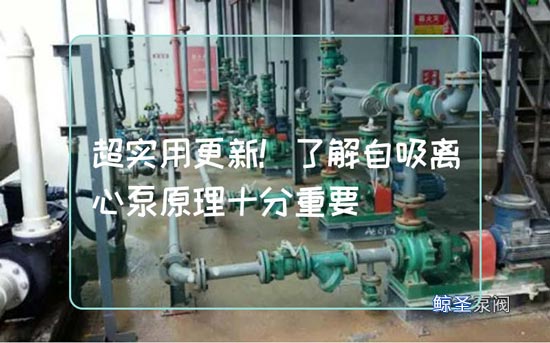 超实用更新!了解自吸离心泵原理十分重要
