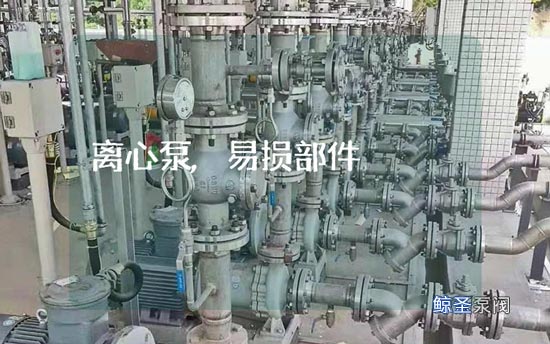急急急!离心泵什么部件属于易损件?