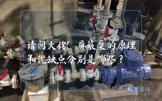 请问大佬!屏蔽泵的原理和优缺点分别是哪些?