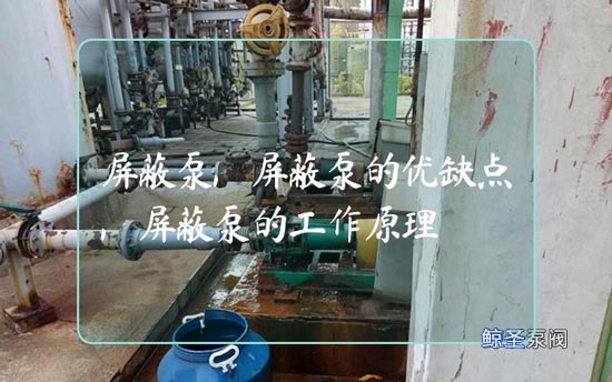 请问大佬!屏蔽泵的原理和优缺点分别是哪些?