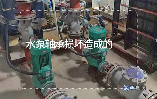 疑难:水泵轴承损坏哪些原因造成的?