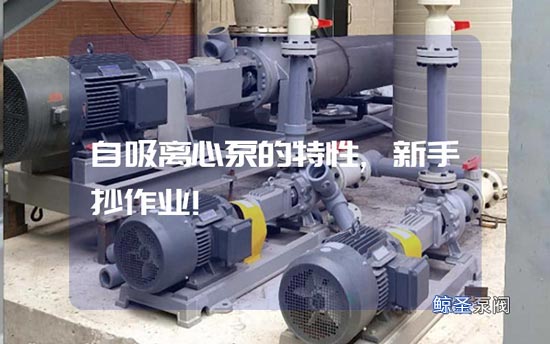 自吸离心泵的特性,新手抄作业!