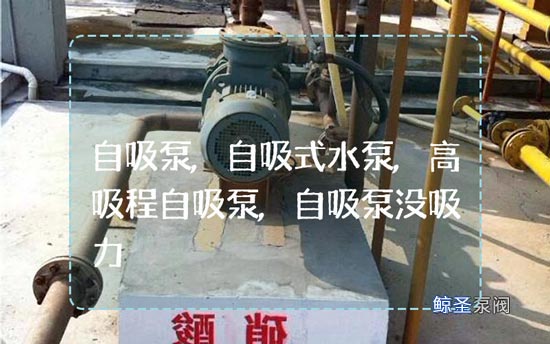 谁能告诉我,自吸泵没有吸力是如何回事?