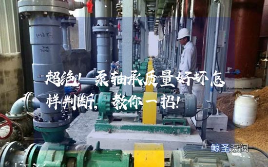 超绝!泵轴承质量好坏怎样判断,教你一招!