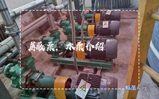 现在,屏蔽泵是什么泵?