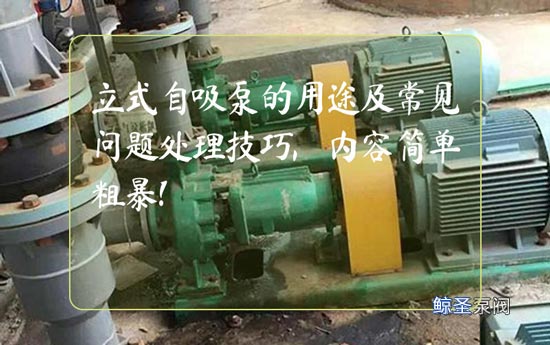 立式自吸泵的用途及常见问题处理技巧,内容简单粗暴!