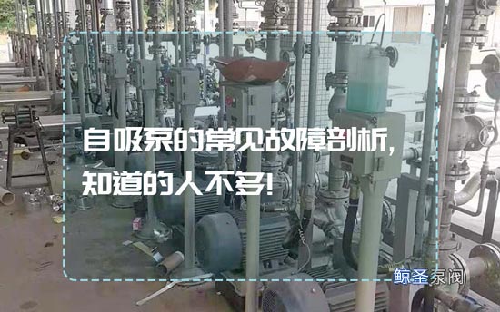 自吸泵的常见故障剖析,知道的人不多!