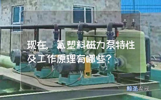 现在,氟塑料磁力泵特性及工作原理有哪些?